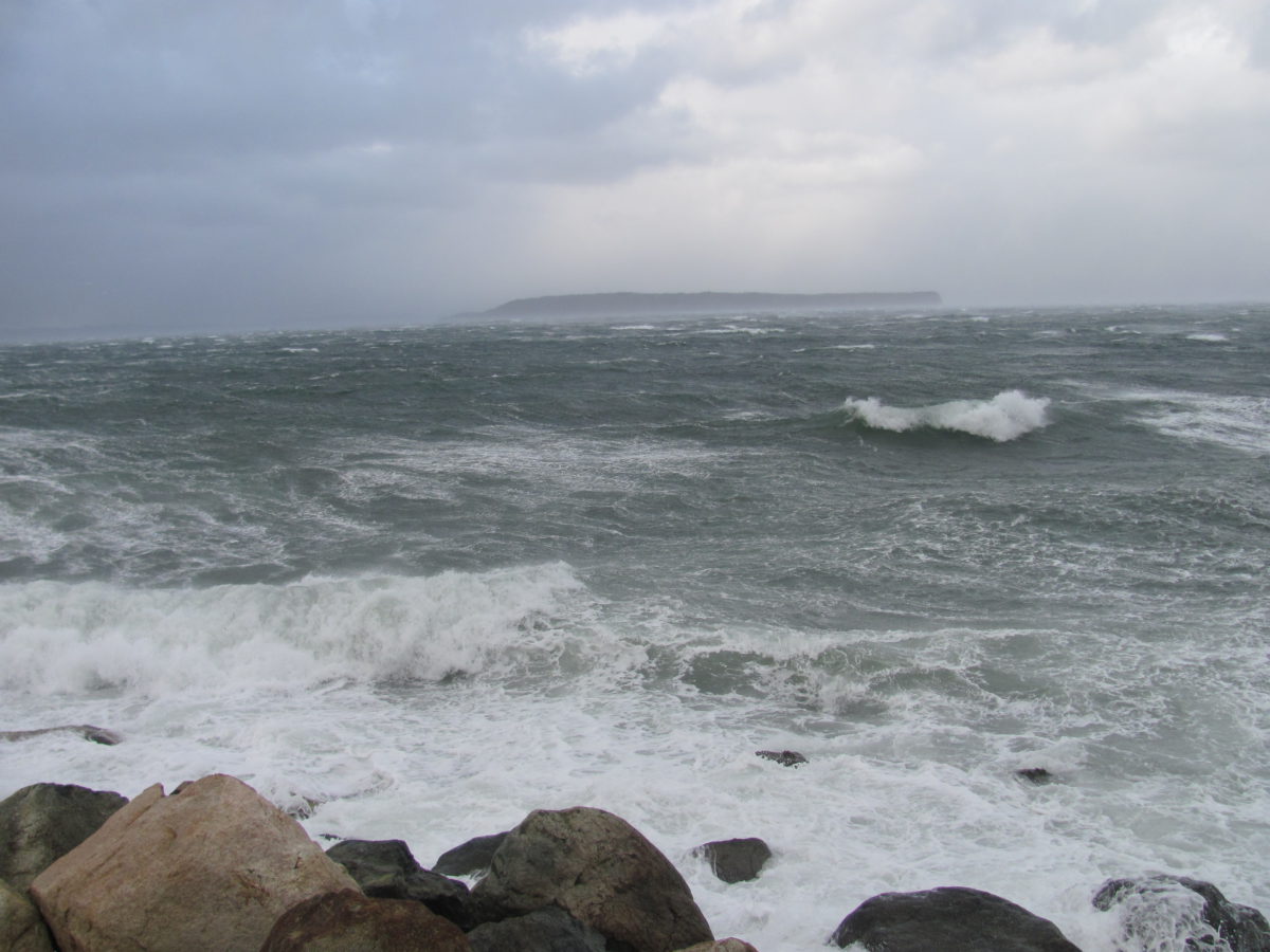 Blowing A Gale - Newfoundland Labrador